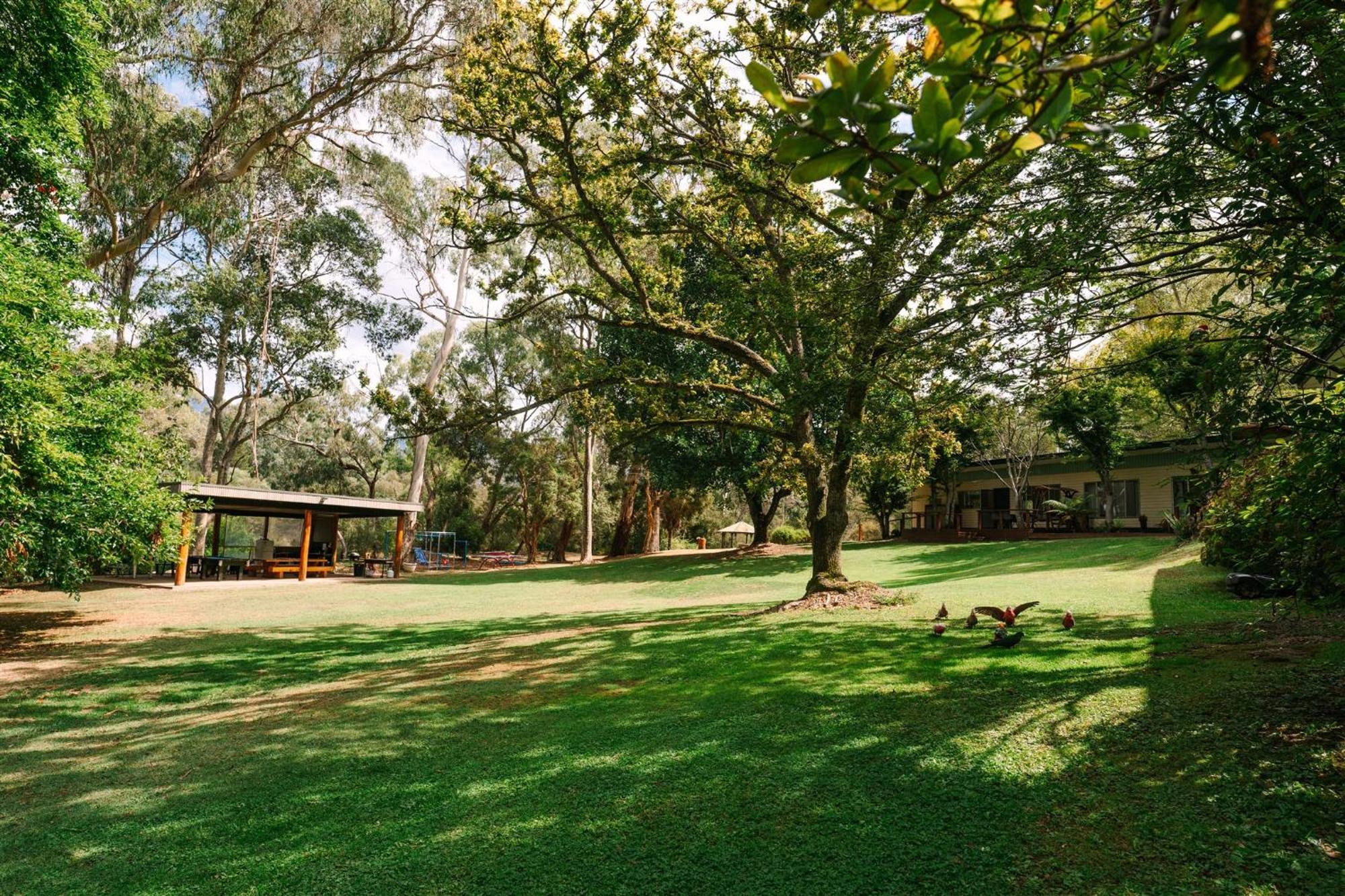 Alpine Riverside Cottages Porepunkah Exterior photo